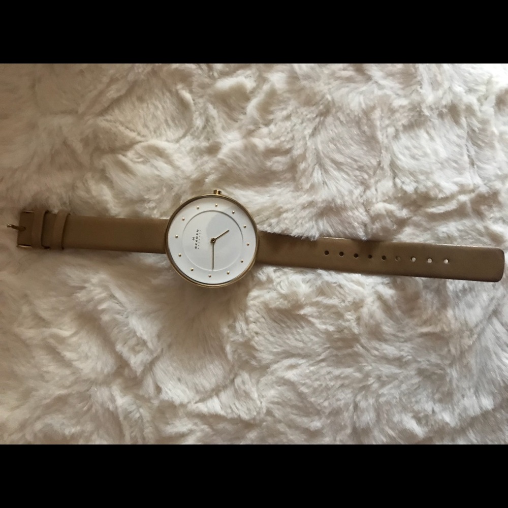 Skagen Leather Watch